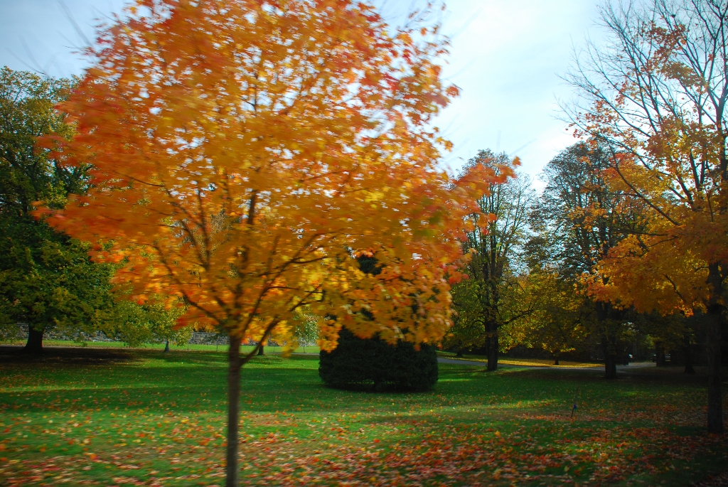 DSC_4054.JPG